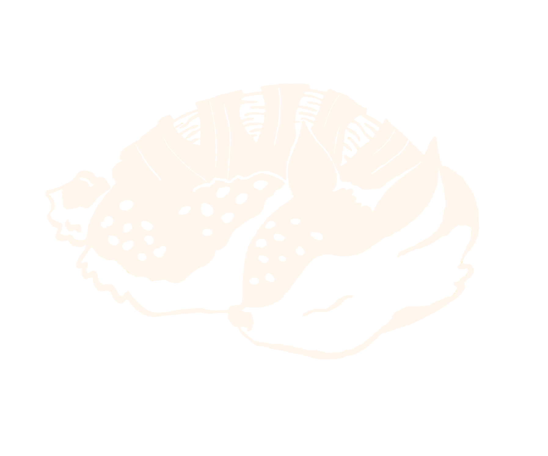 Bread Illustration
